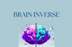 Brain Inverse